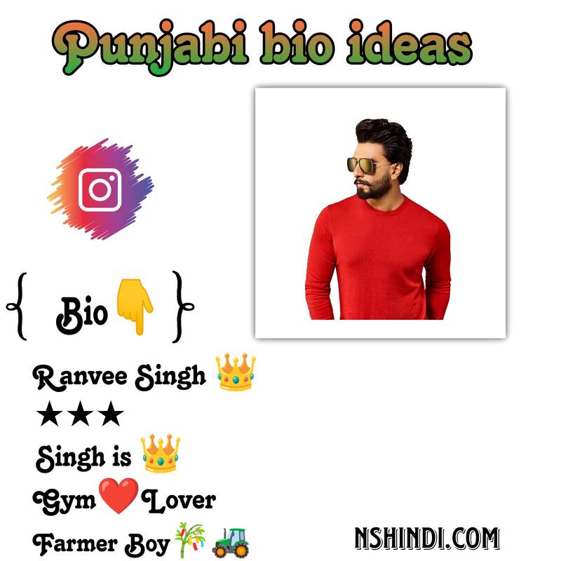 Punjabi bio ideas 