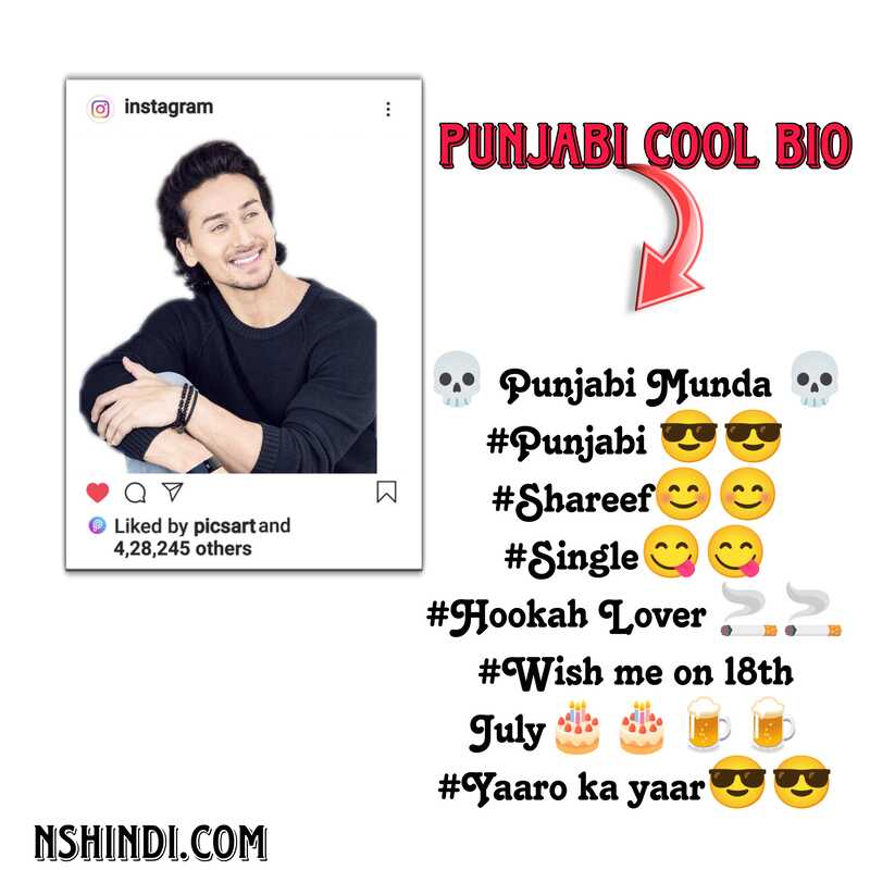 Punjabi Cool Bio For Boys 