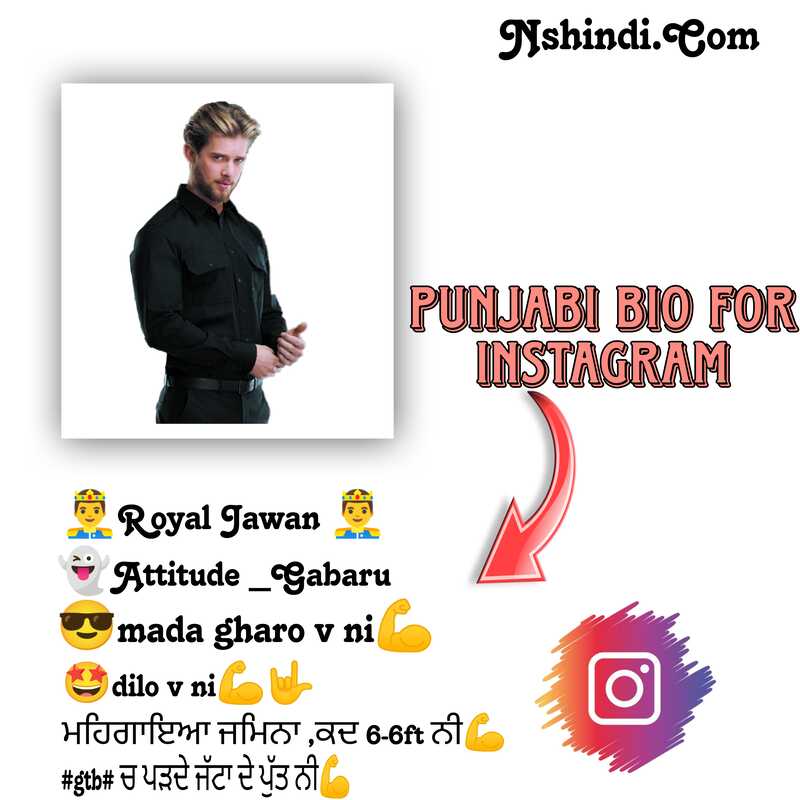 Punjabi Vip Bio For Boys 