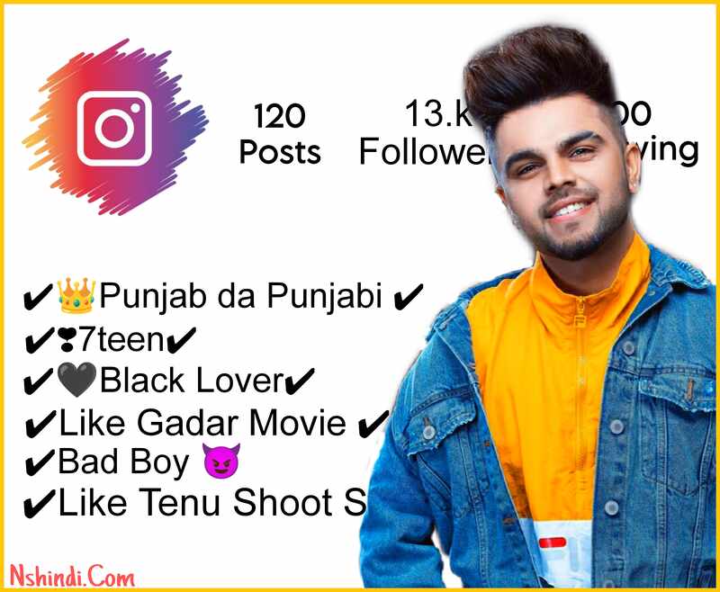 Instagram Bio For Boys In Punjabi