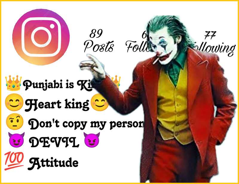 Instagram Bio In Punjabi Attitude