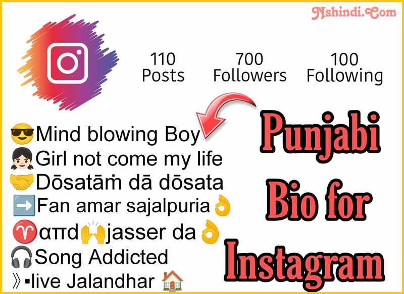 Punjabi Bio For Instagram