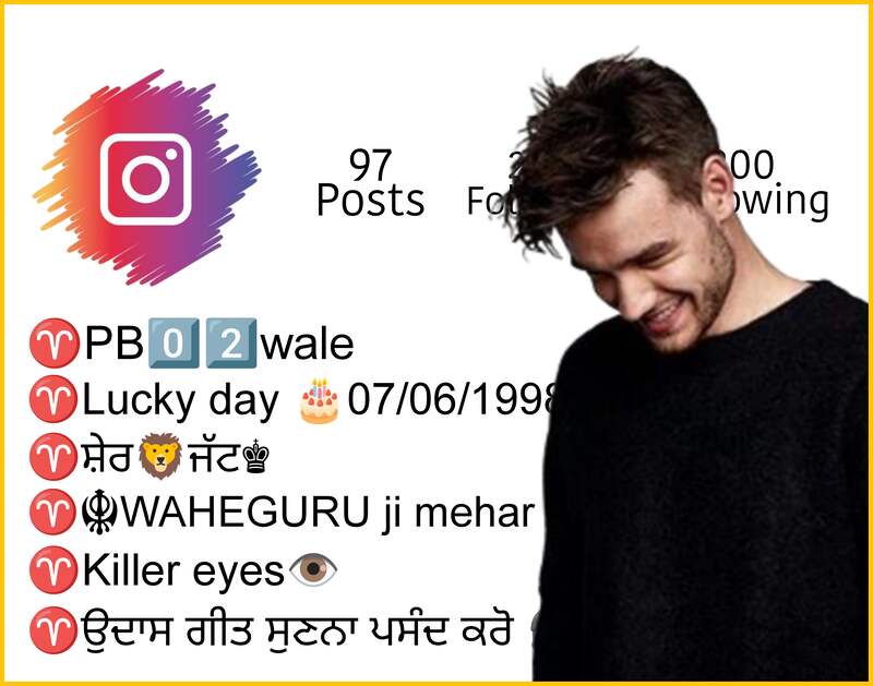 Instagram Bio In Punjabi