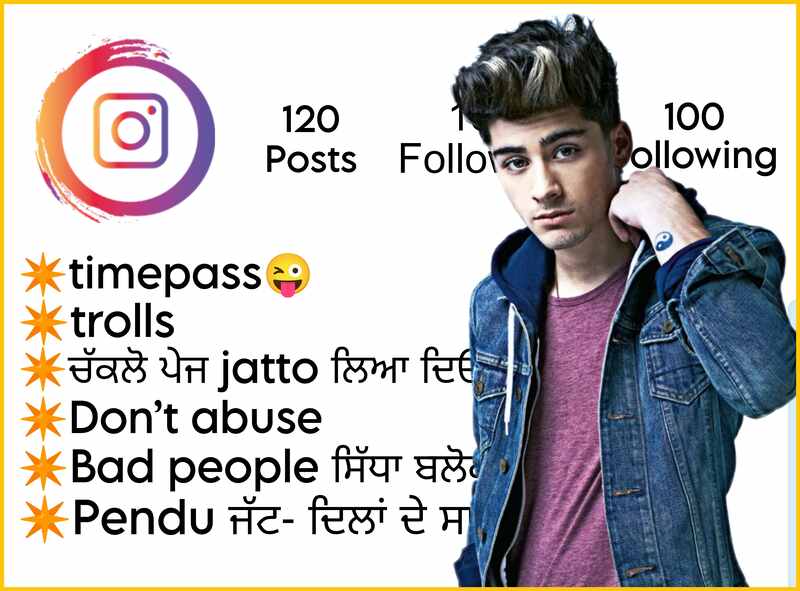 Cool Instagram Bio In Punjabi