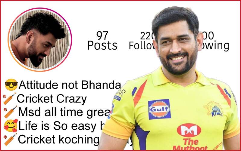 Instagram Bio For Dhoni Fans 